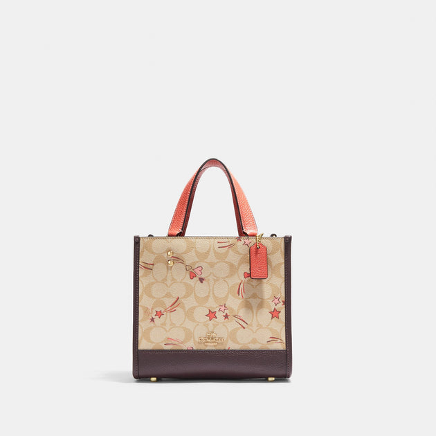 Louis Vuitton is amazing, but I also love my $8.95 canvas tote