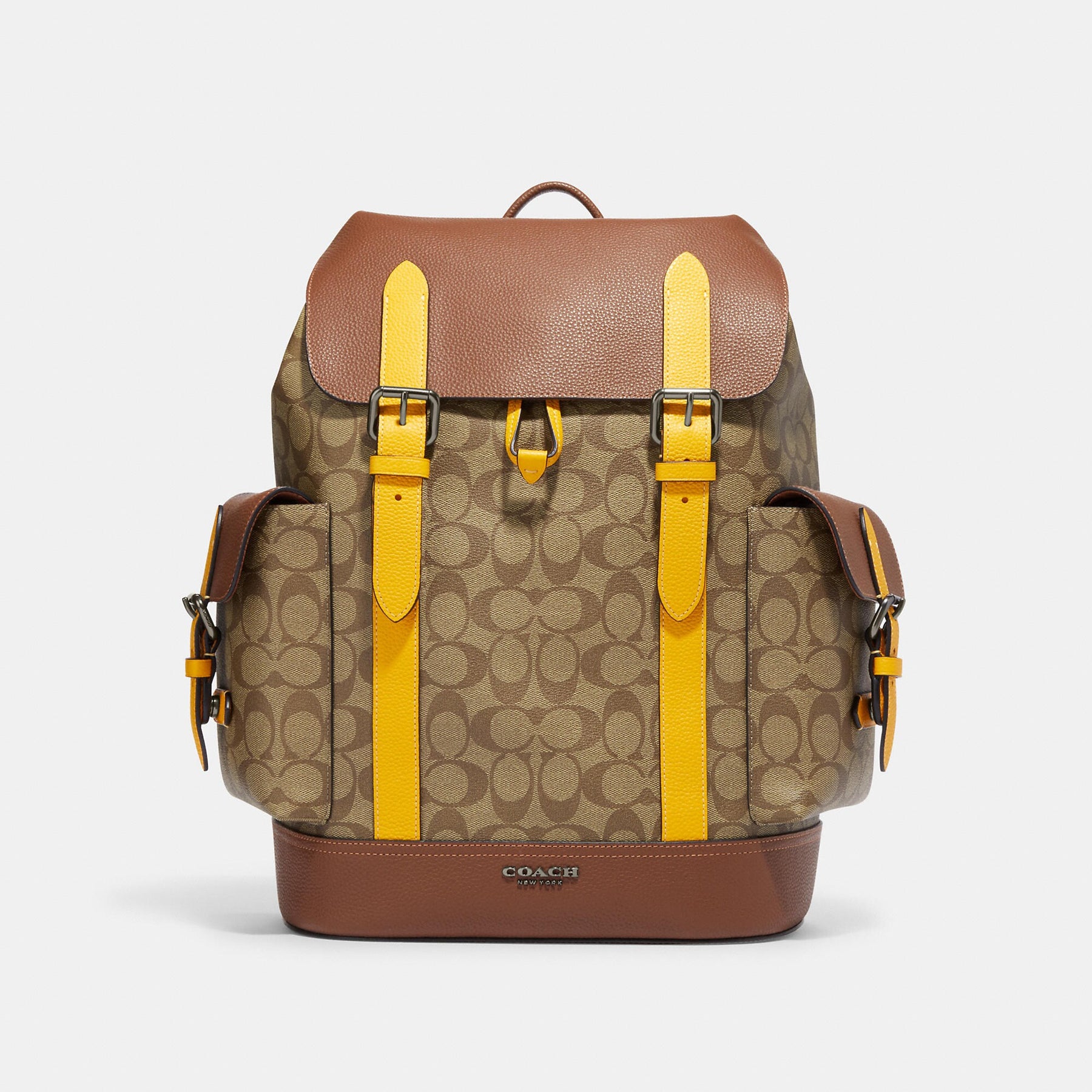 Hudson Colorblocked Large Backpack
